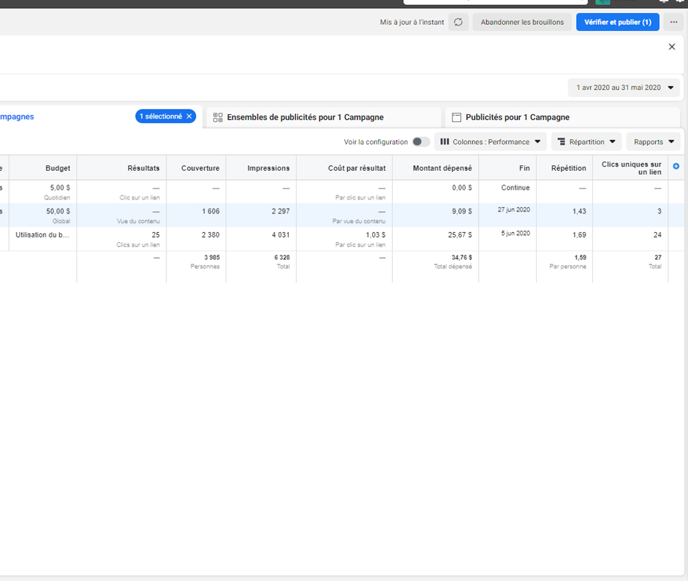 Rapport des campagnes publicitaires Facebook